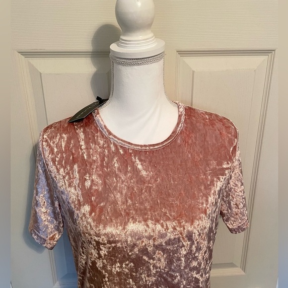 R. Vivimos Pink Velvet Mini T-Shirt Short Sleeve Women’s Dress Medium NWT - Picture 8 of 11